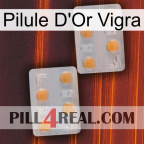 Vigra Gold Pill 25
